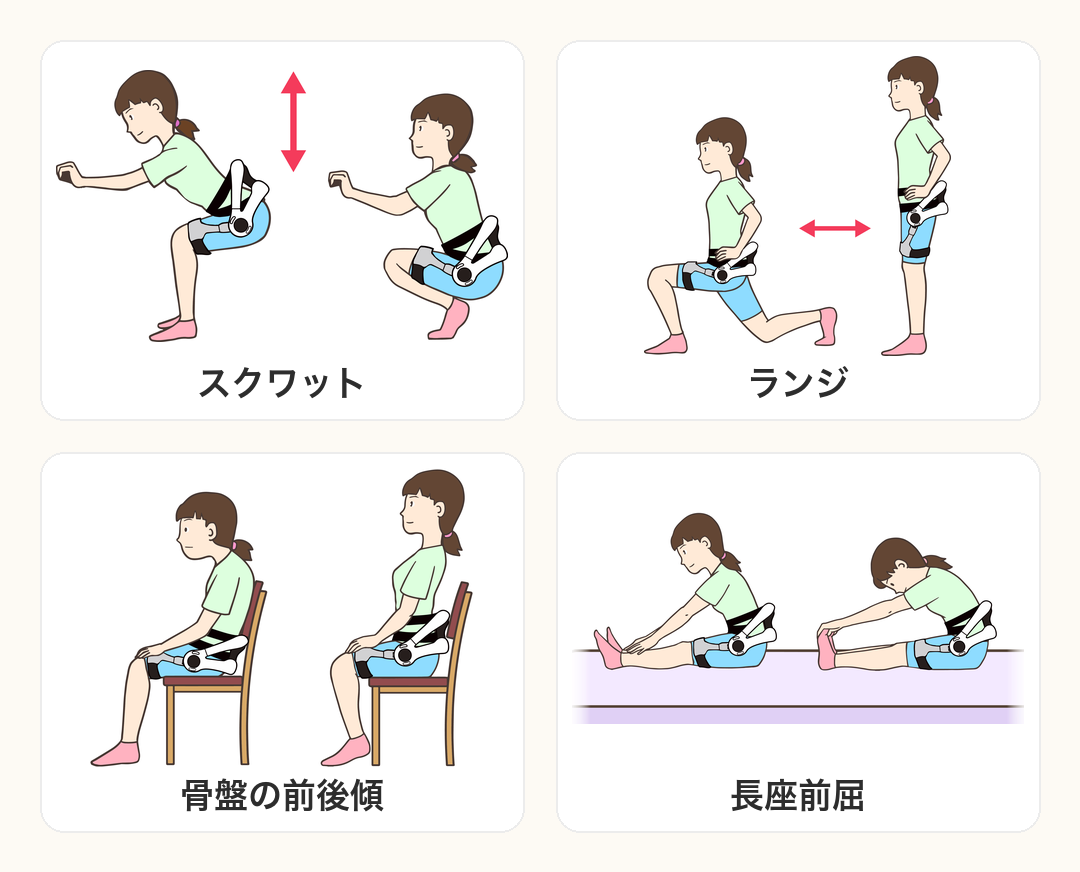 プログラムで行う運動:スクワット、ランジ、骨盤の前後傾、長座前屈
